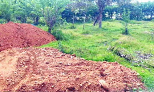 കടങ്ങോട് പള്ളിമേപ്പുറത്ത് വയൽ മണ്ണിട്ട് നികത്തുന്നു