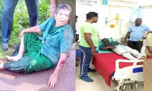 മൂന്നാറിൽ കാട്ടാന ആക്രമണം; രണ്ട്​തൊഴിലാളികൾക്ക് പരിക്ക്