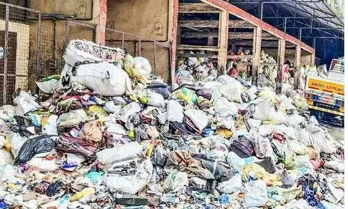 ടൺ കണക്കിന് ചപ്പുചവറുകൾ; മാലിന്യകേന്ദ്രമായി നഗരസഭ ലോറി സ്റ്റാൻഡ് ടൺ കണക്കിന് ചപ്പുചവറുകൾ; മാലിന്യകേന്ദ്രമായി നഗരസഭ ലോറി സ്റ്റാൻഡ്