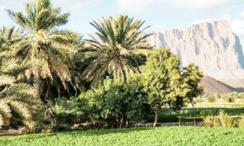 food security food security