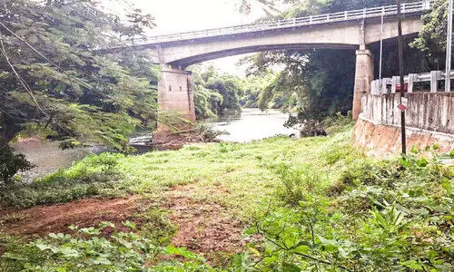 ആറിനഴകായി ‘പച്ചത്തുരുത്ത്’ പദ്ധതി ഉദ്ഘാടനം ഒക്ടോബർ രണ്ടിന്