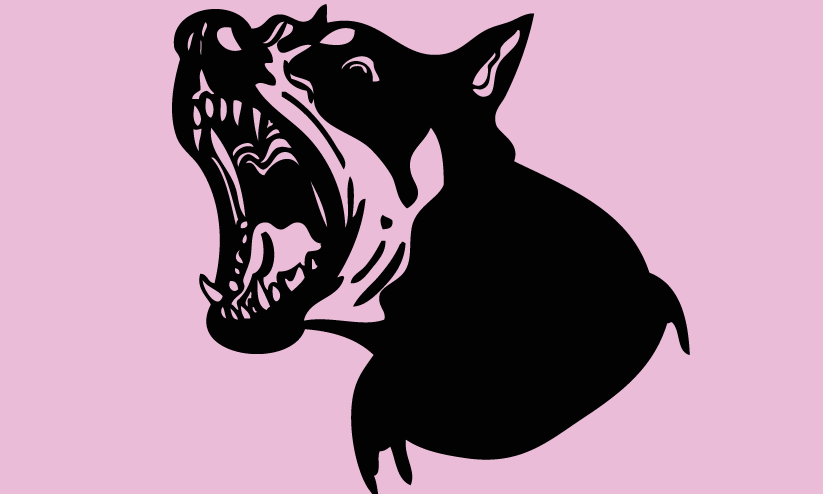 ഇന്ന് പേവിഷബാധ ദിനം; ജീവനാണ്,​ ശ്രദ്ധയും കരുതലും വേണം