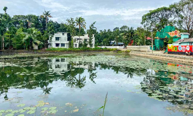 Pallichirangara chira