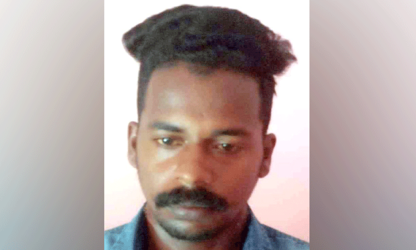 നിരവധി മോഷണക്കേസുകളിലെ പ്രതി പിടിയിൽ