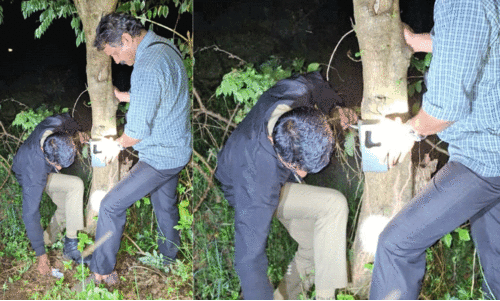 ക​ടു​വ​ക്കാ​യി തിര​ച്ചി​ൽ ഊ​ർ​ജി​തം