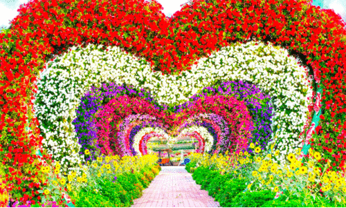 മി​റാ​ക്കി​​ൾ ഗാ​ർ​ഡ​ൻ