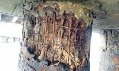 ക​ട​ലു​ണ്ടി​ക്ക​ട​വ് പാ​ലം അ​പ​ക​ട​ഭീ​ഷ​ണി​യി​ൽ; ച​ര​ക്ക് വാ​ഹ​ന​ങ്ങ​ൾ​ക്ക് നി​രോ​ധ​നം