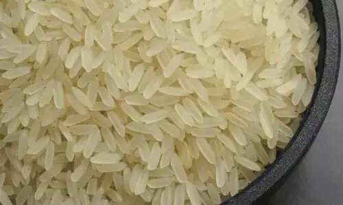 ബസ്മതി ഇതര അരിക്കുള്ള കയറ്റുമതി നിരോധനം നീക്കി കേന്ദ്രസർക്കാർ