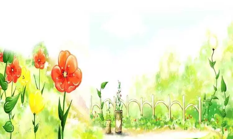 മാജിക് റോസ