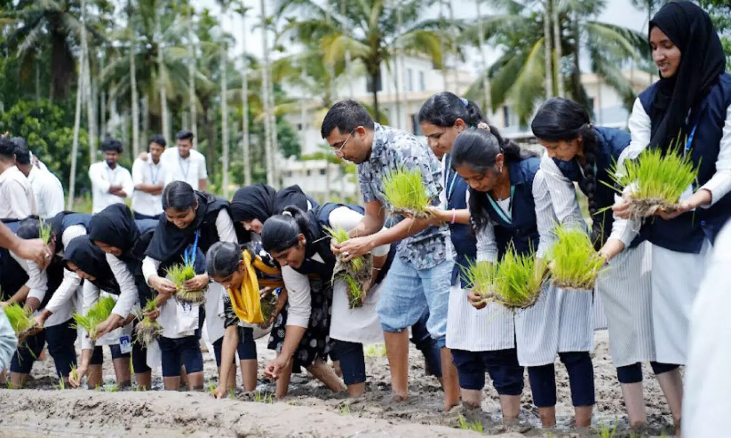 ഇവിടെ പാടത്തും പഠനം