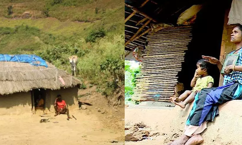 ആദിവാസി പദ്ധതികൾക്ക് അനുവദിച്ച കോർപ്പസ് ഫണ്ട് 88.90 ലക്ഷം ഇടുക്കി ഐ.ടി.ഡിപി പ്രോജക്ട് ഓഫീസർ തിരിച്ചടക്കണമെന്ന് റിപ്പോർട്ട്