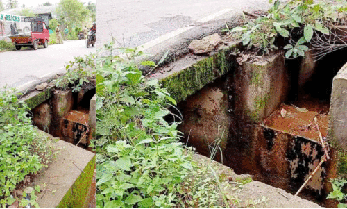 ക​ലു​ങ്കി​ന് കൈ​വ​രി​യി​ല്ല; വാ​ഹ​ന​ങ്ങ​ൾ അ​പ​ക​ട​ഭീ​ഷ​ണി​യി​ൽ