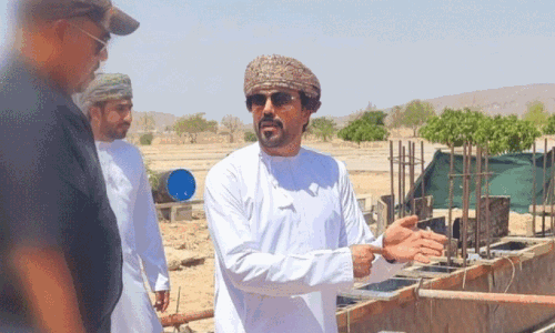 adam park renovation