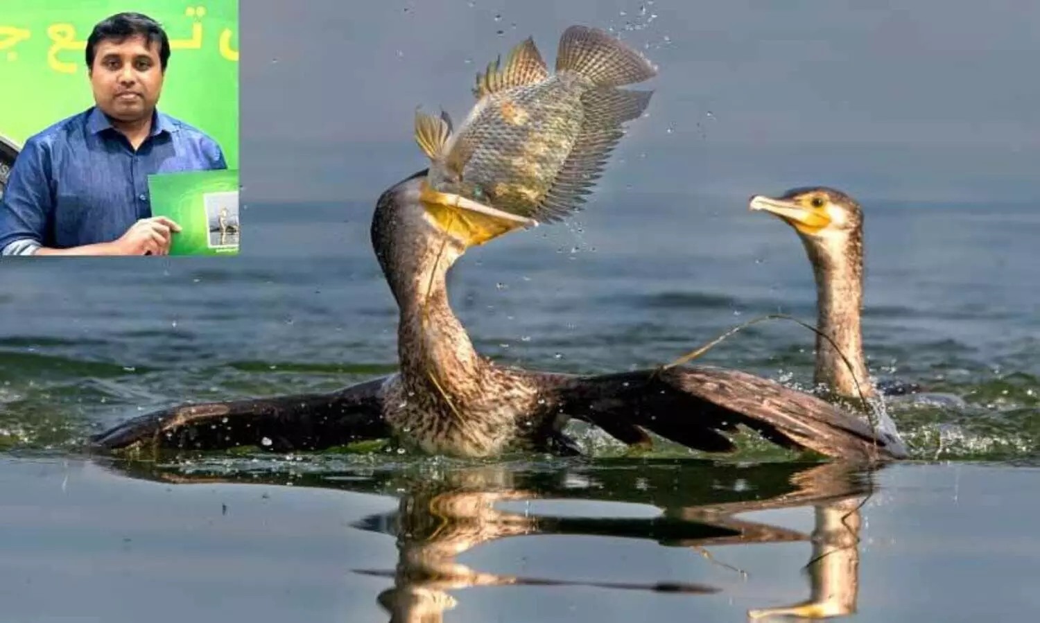 Aukhaf photo competition