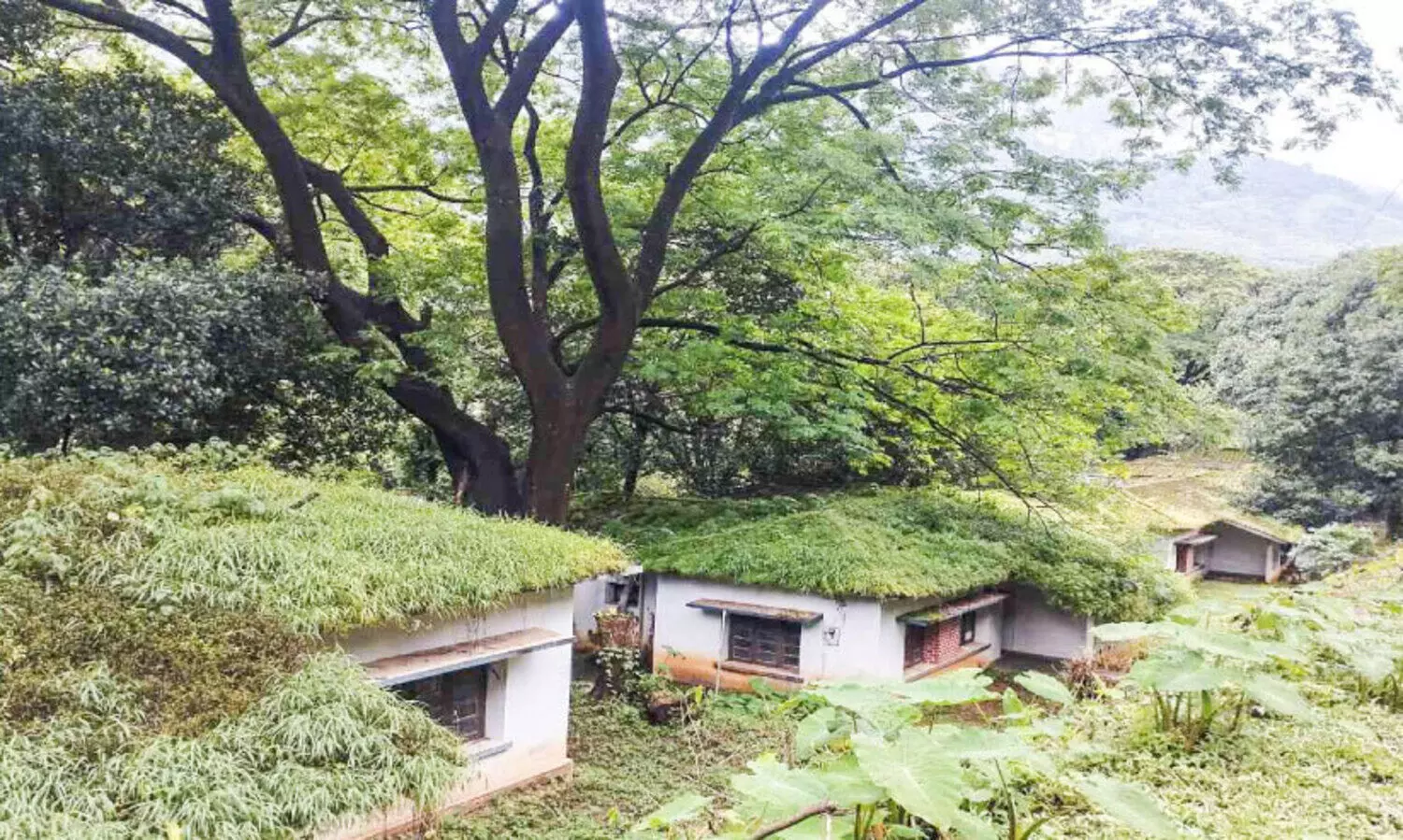 dilapidated buildings