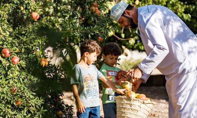 Modern agritourism Modern agritourism