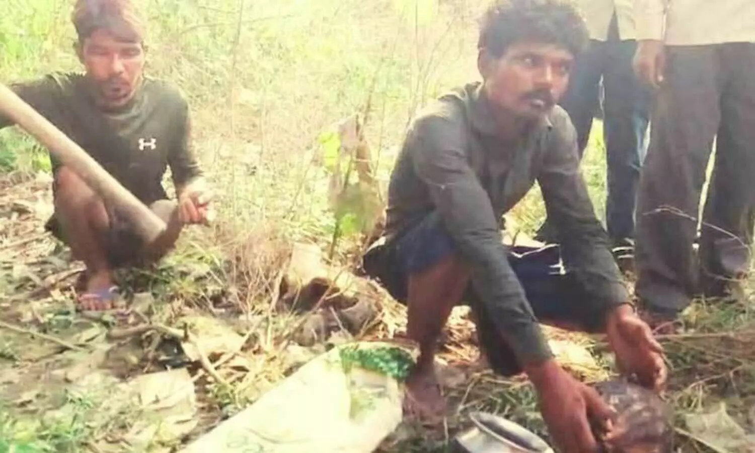 ആമയെ പിടികൂടി കറിവെച്ചു; ഭക്ഷിക്കുന്നതിനു മുമ്പേ പൊലീസെത്തി, രണ്ടു യുവാക്കൾ അറസ്റ്റിൽ