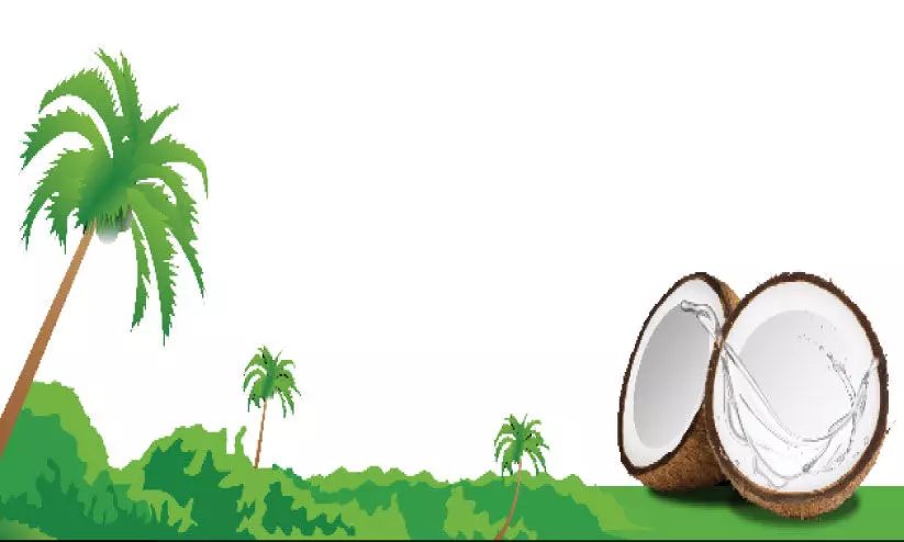 കോട്ടക്കൽ നഗരസഭ കേരഗ്രാമം പദ്ധതിയിൽ