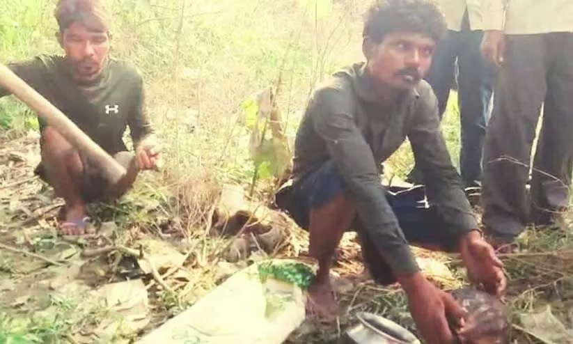 ആമയെ പിടികൂടി കറിവെച്ചു; ഭക്ഷിക്കുന്നതിനു മുമ്പേ പൊലീസെത്തി, രണ്ടു യുവാക്കൾ അറസ്റ്റിൽ ആമയെ പിടികൂടി കറിവെച്ചു; ഭക്ഷിക്കുന്നതിനു മുമ്പേ പൊലീസെത്തി, രണ്ടു യുവാക്കൾ അറസ്റ്റിൽ