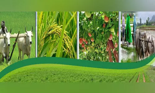 സർക്കാർ ആനുകൂല്യ പട്ടികയിൽ ഇടം നേടി ‘കൃഷിക്കൂട്ടം’ സർക്കാർ ആനുകൂല്യ പട്ടികയിൽ ഇടം നേടി ‘കൃഷിക്കൂട്ടം’