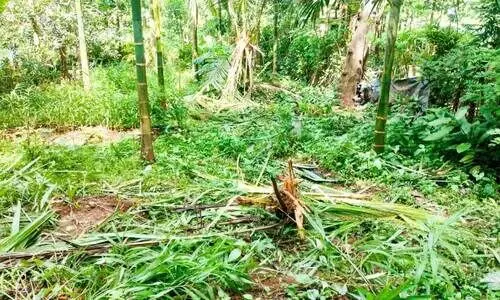 thrissur news thrissur news