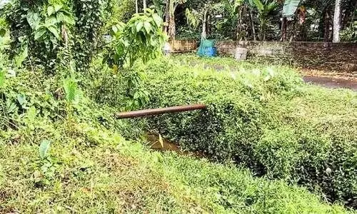 മ​ല​മ്പാ​മ്പു​ക​ളു​ടെ താ​വ​ള​മാ​യി മ​റ്റ​ത്തൂ​ര്‍ ക​നാ​ല്‍