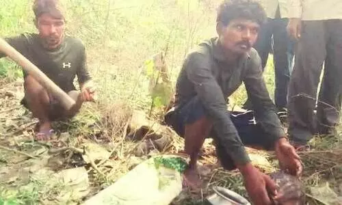 ആമയെ പിടികൂടി കറിവെച്ചു; ഭക്ഷിക്കുന്നതിനു മുമ്പേ പൊലീസെത്തി, രണ്ടു യുവാക്കൾ അറസ്റ്റിൽ