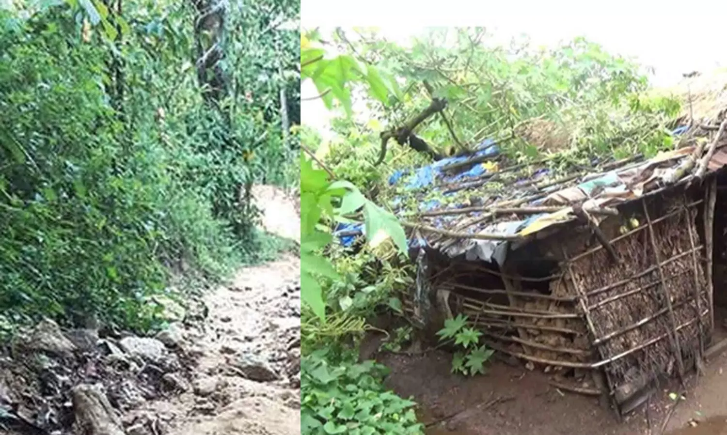 ഇടുക്കിയിൽ വെണ്ണിയാനി ഹാളും ചീനിക്കൽ വശംകത്തി നടപ്പാത കോൺക്രീറ്റിങ്ങും പാതി വഴിയിലെന്ന് റിപ്പോർട്ട്