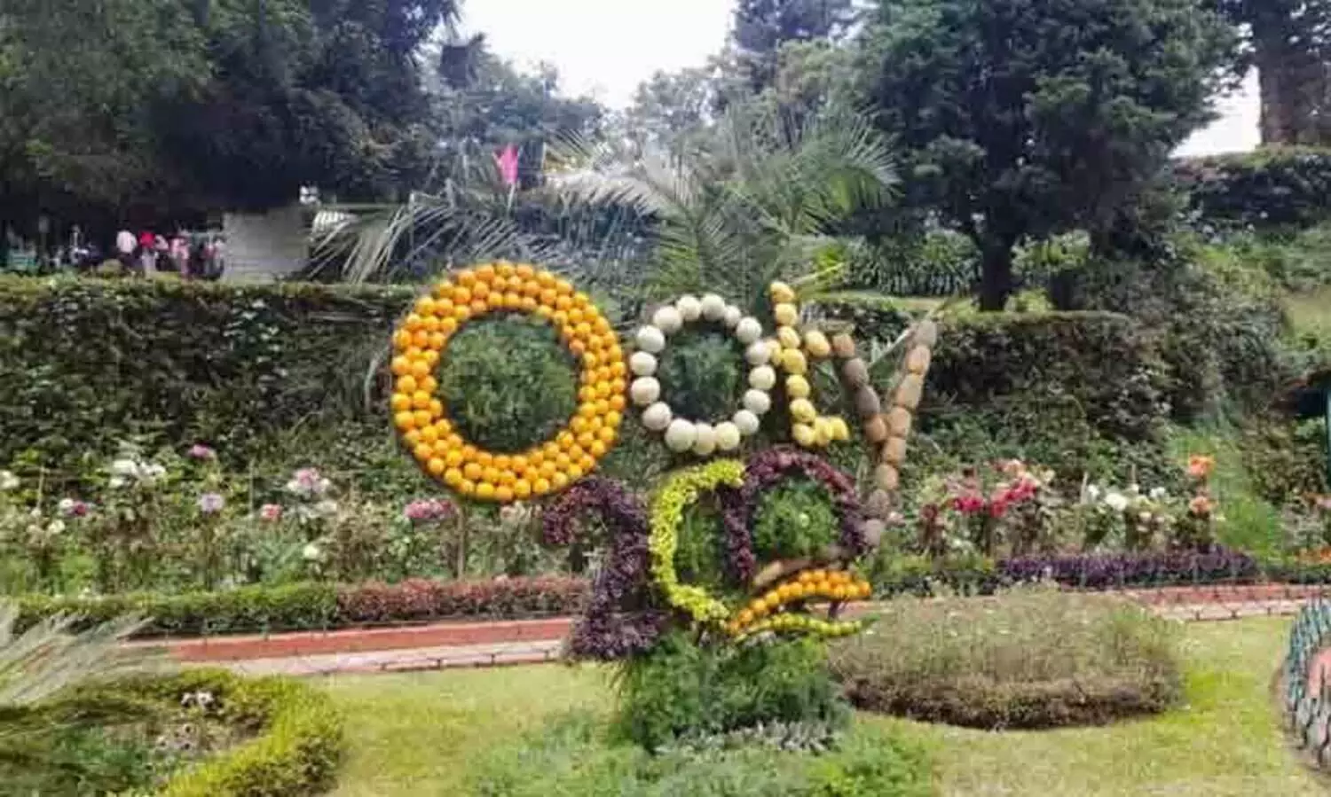 ഊട്ടി, കൊടൈക്കനാൽ വിനോദ സഞ്ചാരികൾക്ക് ഇ-പാസ് തുടരും