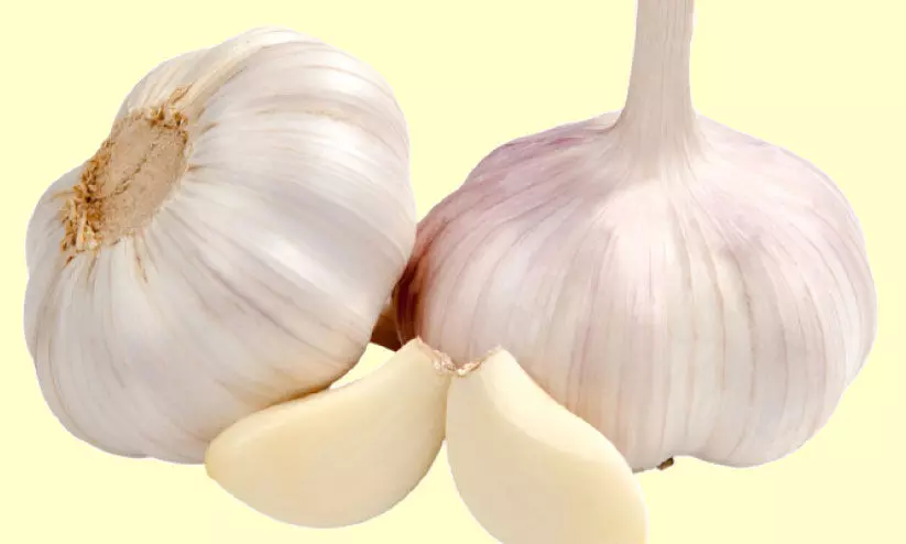 വിപണിയിൽ കുതിച്ച്​ വെളുത്തുള്ളി