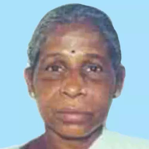 റോ​ഡ് മു​റി​ച്ചു​ക​ട​ക്ക​വേ  ബൈ​ക്കി​ടി​ച്ച് വ​യോ​ധി​ക മ​രി​ച്ചു