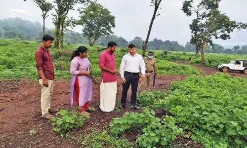 ആ​റ​ളം ഫാ​മി​ൽ വീ​ണ്ടും മ​രം മു​റി വി​വാ​ദം