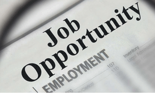 job opportunity