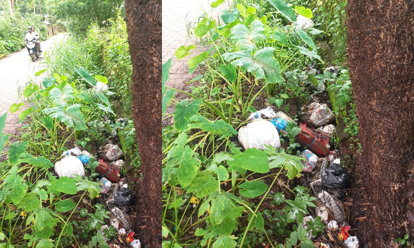 ഒളിഞ്ഞിരിക്കുന്ന മാലിന്യക്കൂമ്പാരം; ജനം ദുരിതത്തിൽ ഒളിഞ്ഞിരിക്കുന്ന മാലിന്യക്കൂമ്പാരം; ജനം ദുരിതത്തിൽ