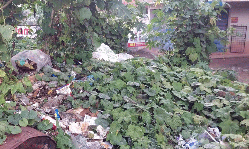 കടയ്ക്കൽ പഞ്ചായത്ത് പാർക്കിങ്ങിൽ മാലിന്യക്കൂമ്പാരം കടയ്ക്കൽ പഞ്ചായത്ത് പാർക്കിങ്ങിൽ മാലിന്യക്കൂമ്പാരം