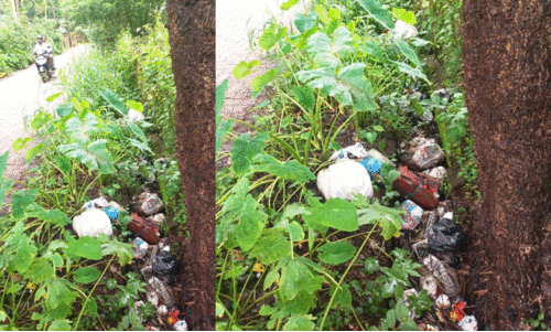 ഒളിഞ്ഞിരിക്കുന്ന മാലിന്യക്കൂമ്പാരം; ജനം ദുരിതത്തിൽ