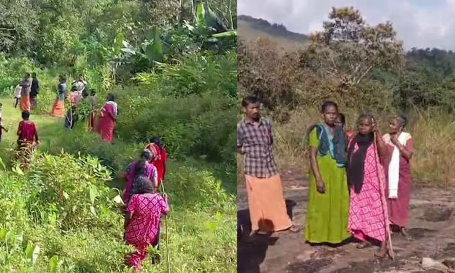 ഇടുക്കി പൂച്ചപ്ര നഴ്സറി സ്കൂൾ നവീകരണം  ആരംഭിക്കാത്തതിന് കാരണം പൂമാല ട്രൈബൽ എക്സ്റ്റൻഷൻ ഓഫിസറുടെ വീഴ്ചയെന്ന് റിപ്പോർട്ട്