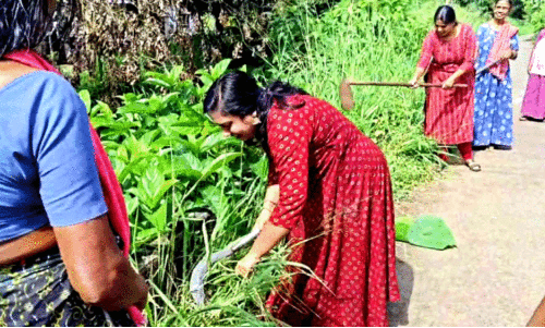 മ​റ്റ​ത്തൂ​ർ ക​നാ​ലി​ന് ശാ​പ​മോ​ക്ഷ​മാ​കു​ന്നു