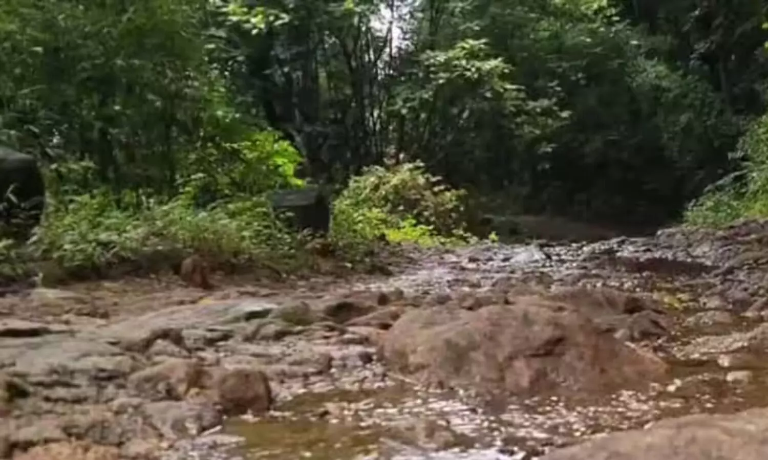 അഞ്ചുരുളി ആദിവാസി ഊരിലെ കുടിവെള്ള പദ്ധതി: 10 ലക്ഷം ഗ്രാമപഞ്ചായത്ത് അക്കൗണ്ടിൽ നിഷ്ക്രിയമെന്ന്  റിപ്പോർട്ട്