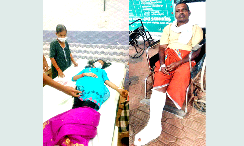 രണ്ടിടത്ത്​ കാ​ട്ടു​പ​ന്നി ആക്ര​മ​ണ​ം: വിദ്യാർഥിനിക്കും വ​യോ​ധി​കനും പ​രി​ക്ക്