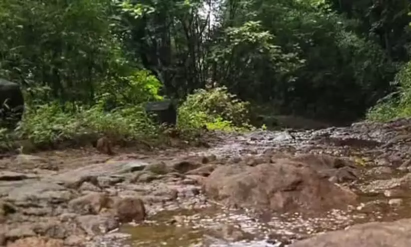 അഞ്ചുരുളി ആദിവാസി ഊരിലെ കുടിവെള്ള പദ്ധതി: 10 ലക്ഷം ഗ്രാമപഞ്ചായത്ത് അക്കൗണ്ടിൽ നിഷ്ക്രിയമെന്ന്  റിപ്പോർട്ട്