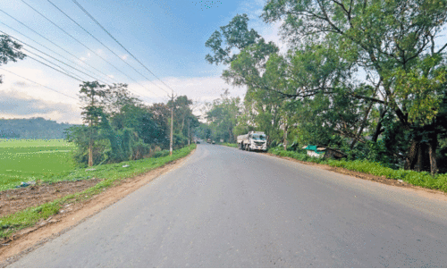 വ​ഴി​മു​ട്ടി വ​ഴി​യോ​രക്ക​ച്ച​വ​ട​ക്കാ​ർ