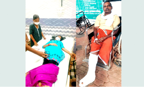 രണ്ടിടത്ത്​ കാ​ട്ടു​പ​ന്നി ആക്ര​മ​ണ​ം: വിദ്യാർഥിനിക്കും വ​യോ​ധി​കനും പ​രി​ക്ക്