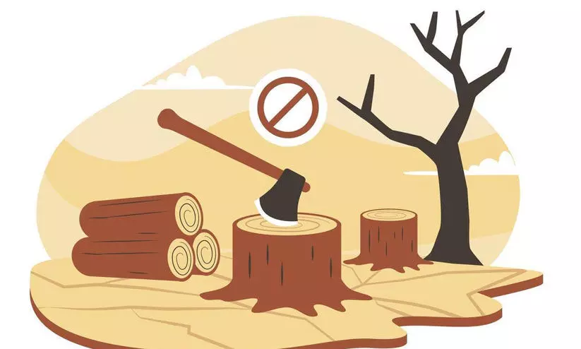 ആറളം ഫാമിലെ അനധികൃത മരംമുറി; കരാറുകാരനെതിരെ വനംവകുപ്പും കേസെടുത്തു