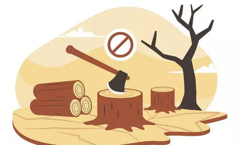 ആറളം ഫാമിലെ അനധികൃത മരംമുറി; കരാറുകാരനെതിരെ വനംവകുപ്പും കേസെടുത്തു