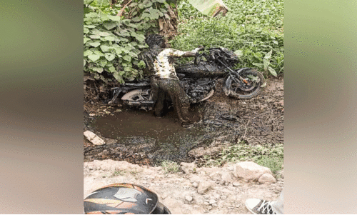 Flyover construction