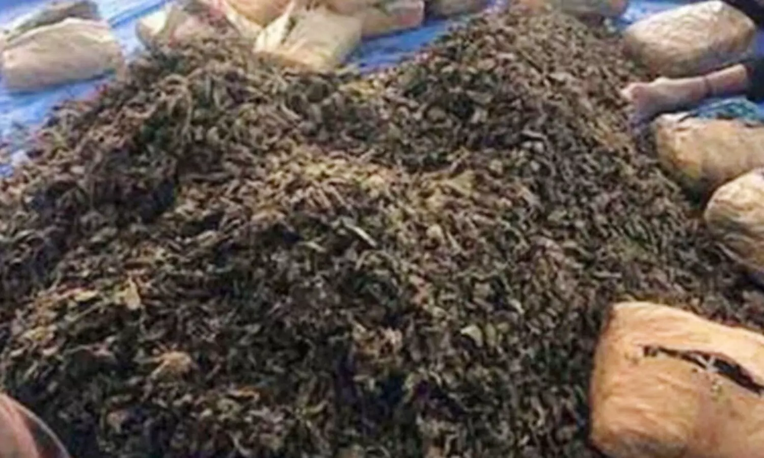 ആന്ധ്രാപ്രദേശിൽ എട്ടു ക്വിന്റൽ കഞ്ചാവുമായി ട്രക്ക് പിടികൂടി