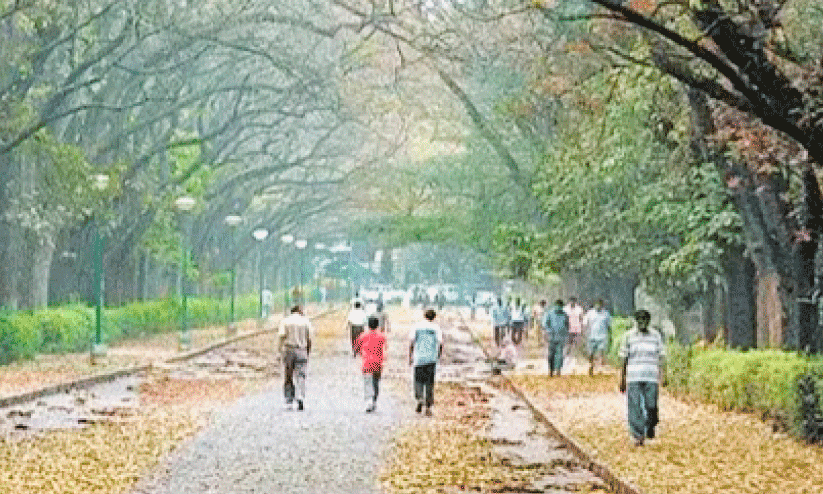 Cubbon Park
