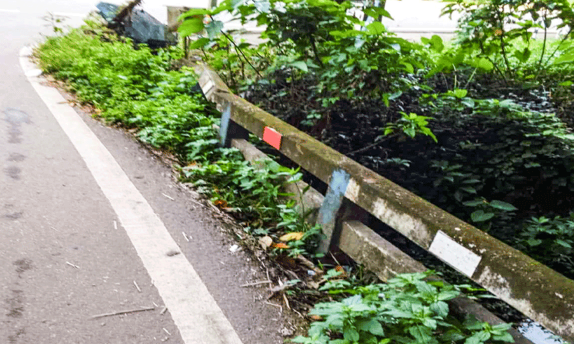 Bridge Handrail Bridge Handrail