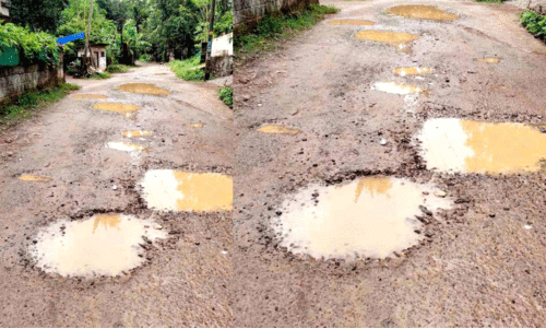 പെരുങ്കടവിള ഗ്രാമപഞ്ചായത്തിലെ റോഡുകള്‍ തകർച്ചയിൽ